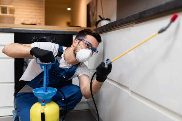 Best Cockroach Control Services  in Ladd, IL