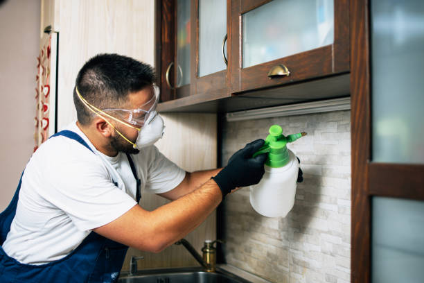 Best Pest Control Near Me  in Ladd, IL