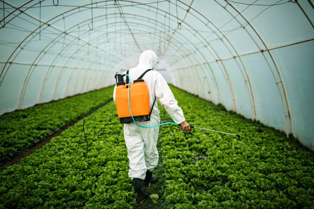 Best Commercial Pest Control Services  in Ladd, IL