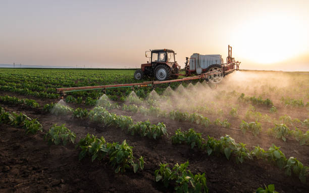 Best Pest Inspection Near Me  in Ladd, IL