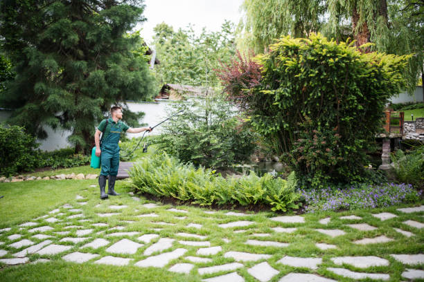 Best Wildlife Control Services  in Ladd, IL